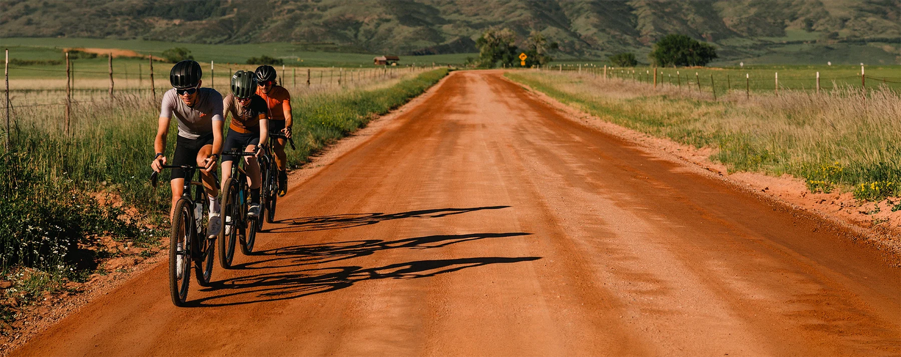 Master Every Terrain with Vittoria